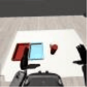 MobileVISTA reconstruction, Can Sort task